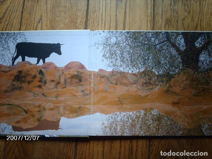 Libros: tomatito et saladelle  -  historia de un gitano y un toro   -  en frances - Foto 2