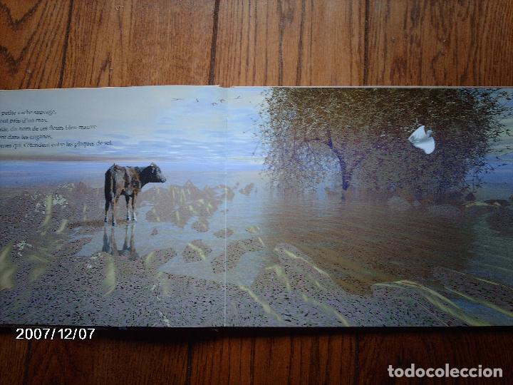 Libros: tomatito et saladelle  -  historia de un gitano y un toro   -  en frances - Foto 4