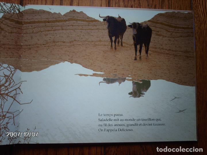 Libros: tomatito et saladelle  -  historia de un gitano y un toro   -  en frances - Foto 16