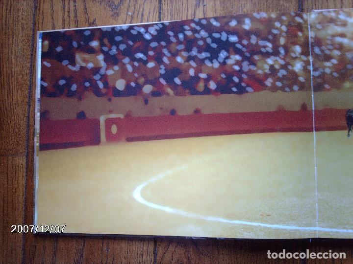 Libros: tomatito et saladelle  -  historia de un gitano y un toro   -  en frances - Foto 21