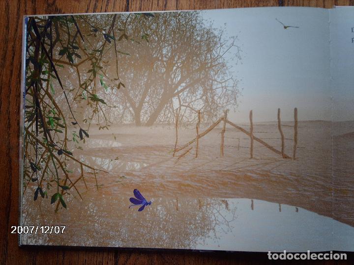 Libros: tomatito et saladelle  -  historia de un gitano y un toro   -  en frances - Foto 25