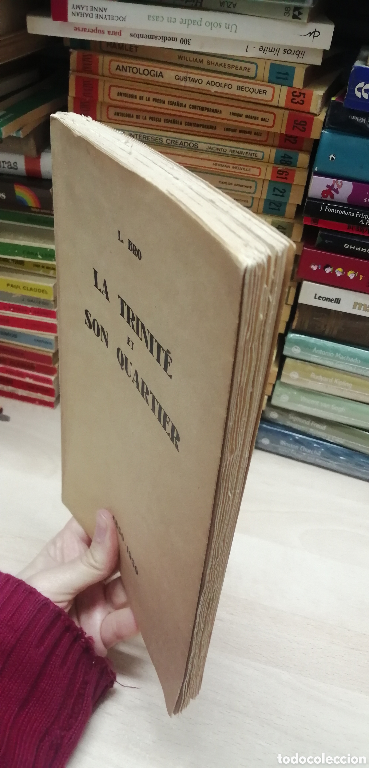Libros: La Trinite et Son Quarter 1850 - 1950 - Foto 4