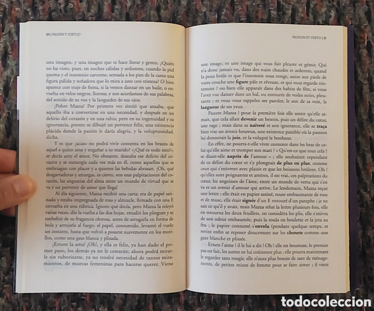 Libros: Flaubert Pasion y Virtud en espa&ntilde;ol y franc&eacute;s - Foto 3