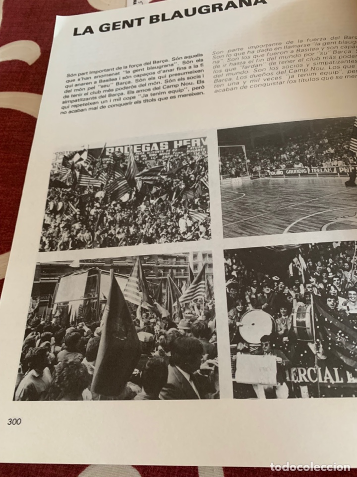 Coleccionismo deportivo: Un any del bar&ccedil;a 1981/82. Ediciones Bausans. Barcelona 1982 - Foto 9