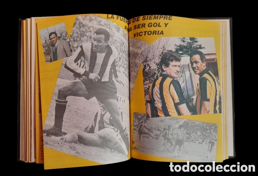 Coleccionismo deportivo: LIBRO DE ORO del CLUB ATL&Eacute;TICO PE&Ntilde;AROL - Foto 5