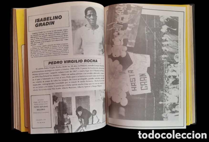 Coleccionismo deportivo: LIBRO DE ORO del CLUB ATL&Eacute;TICO PE&Ntilde;AROL - Foto 8