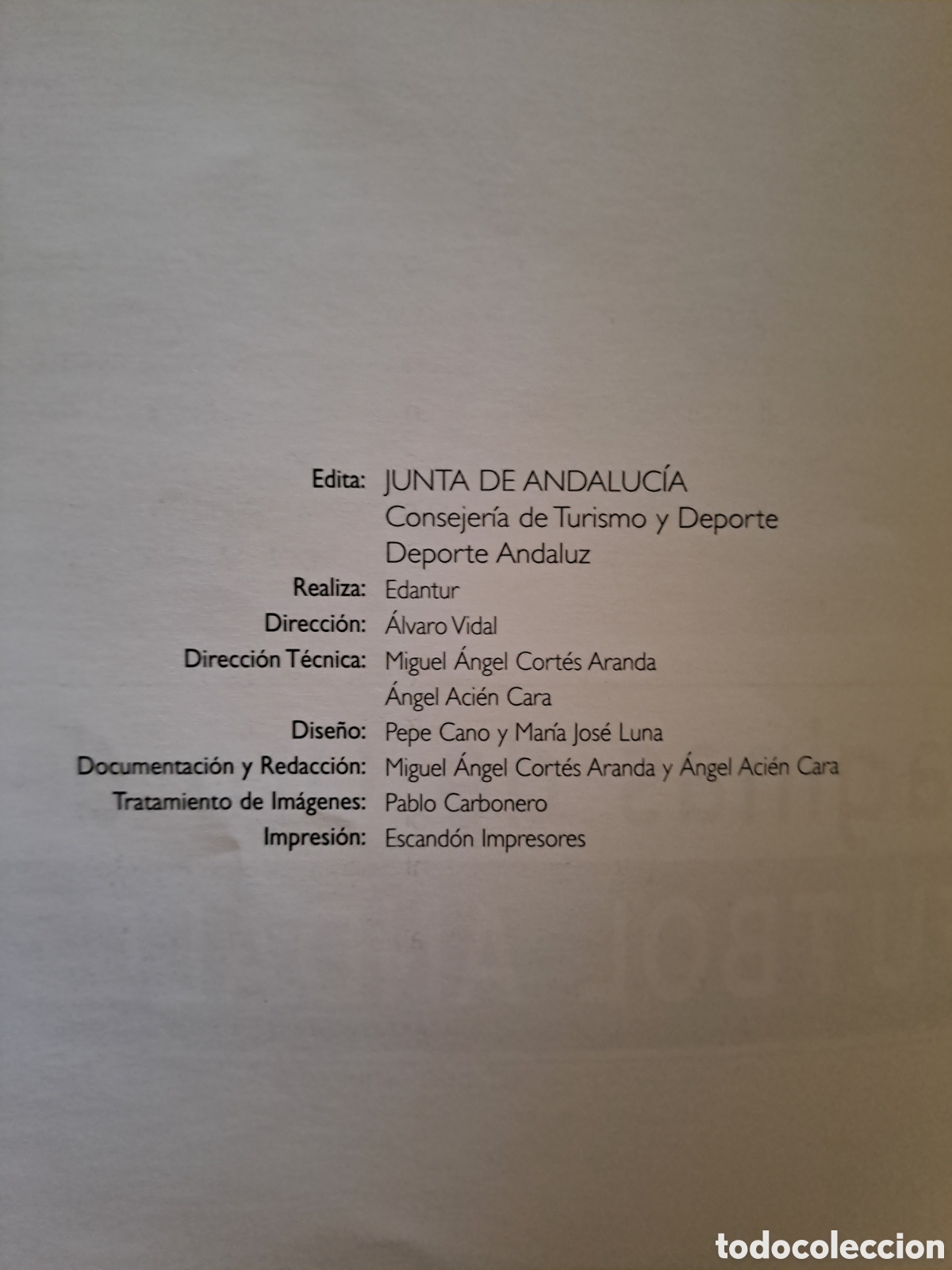 Coleccionismo deportivo: LIBRO FUTBOL ANDALUZ - Foto 4
