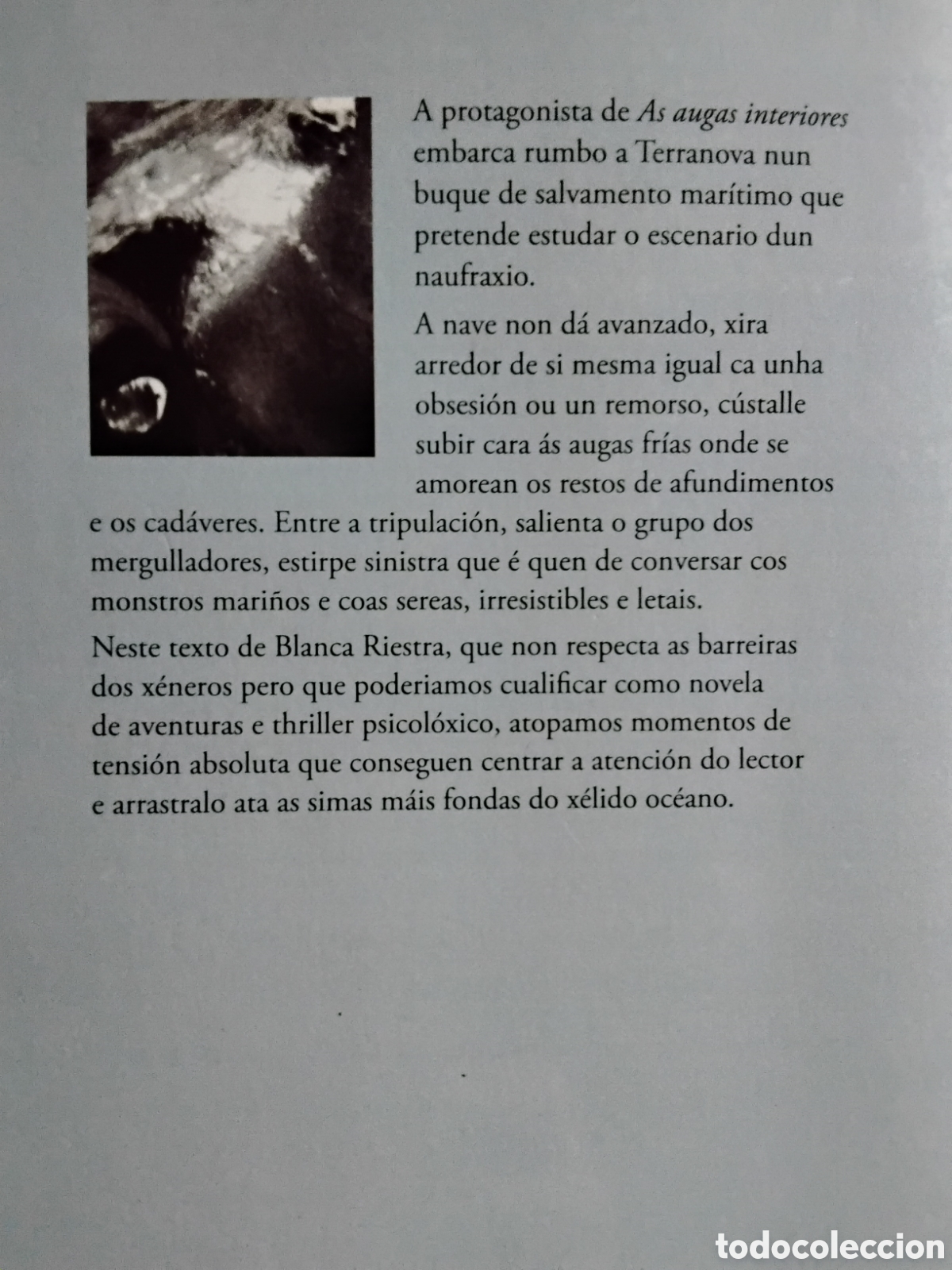 Libros: AS AUGAS INTERIORES. BLANCA RIESTRA - Foto 2
