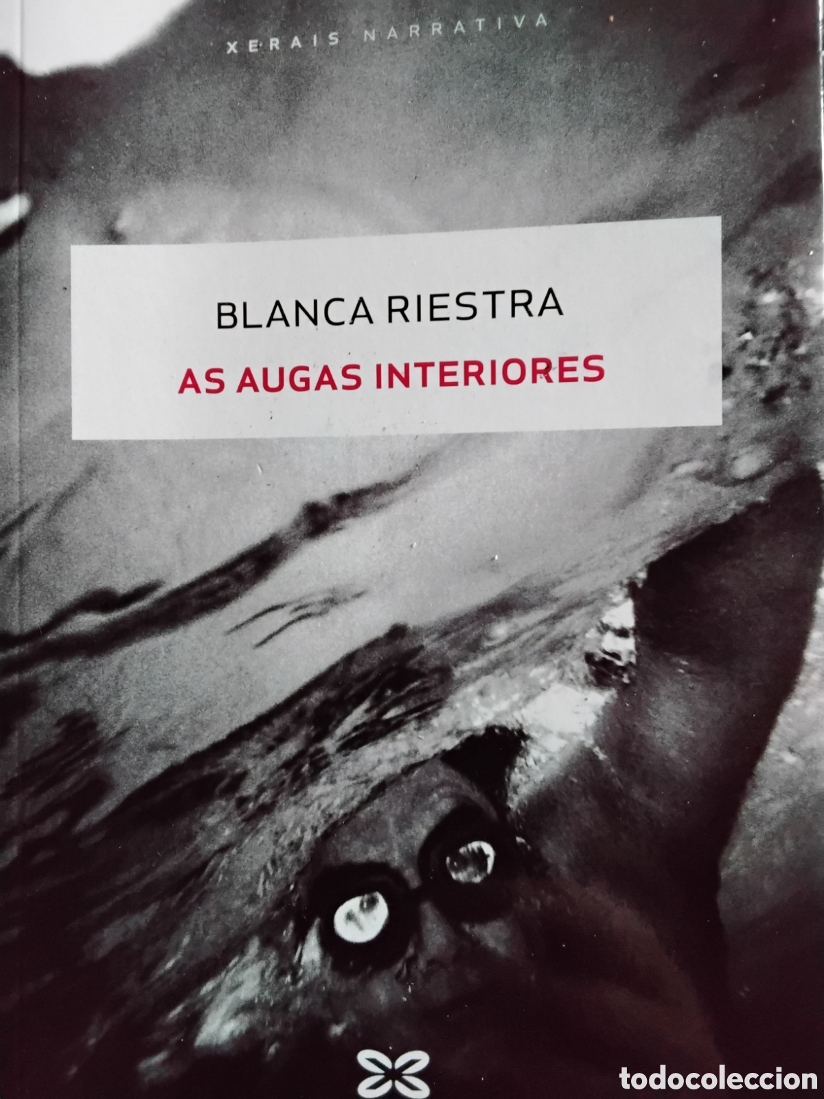 Libros: AS AUGAS INTERIORES. BLANCA RIESTRA - Foto 1