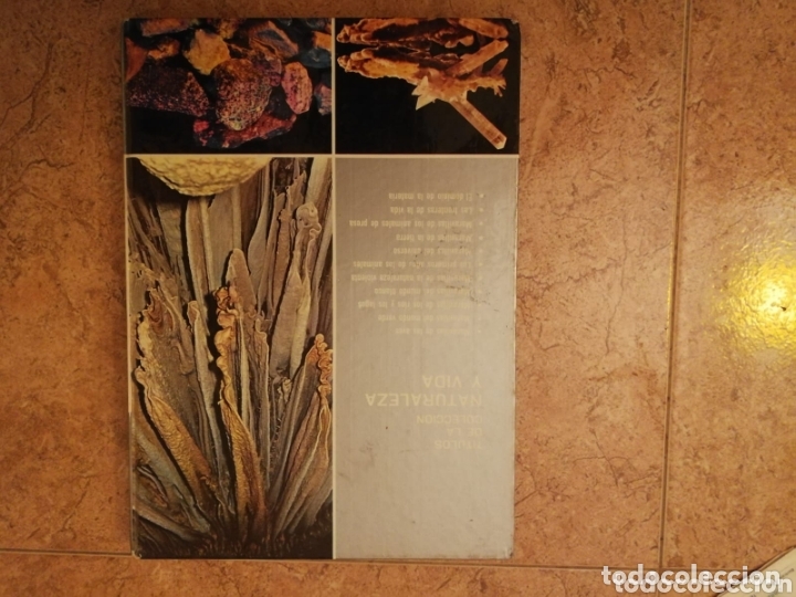 Libros: Libro maravillas de la tierra - Foto 2