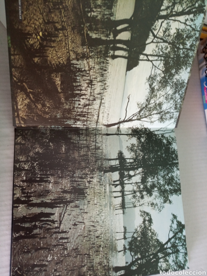 Libros: Borneo - Foto 2