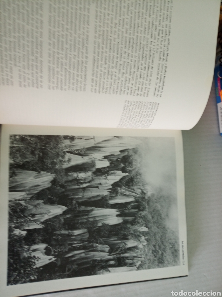 Libros: Borneo - Foto 3