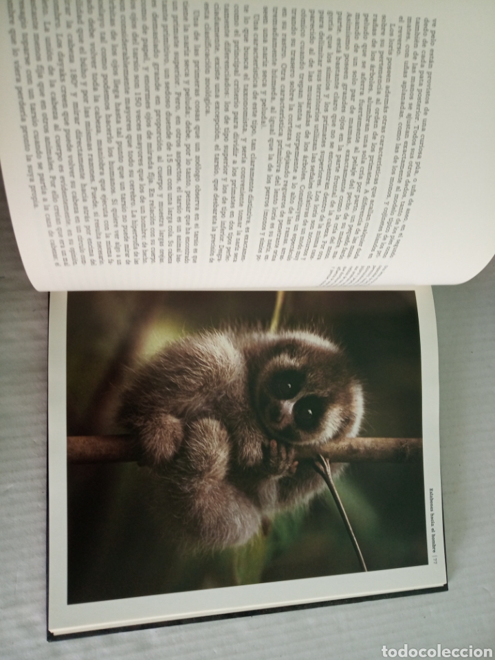 Libros: Borneo - Foto 7