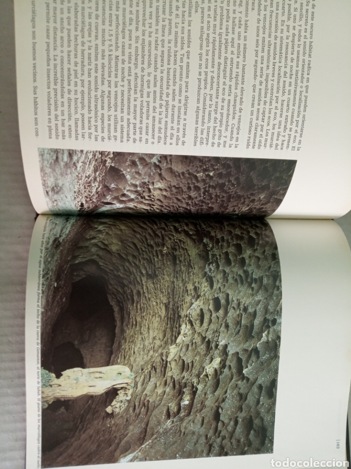 Libros: Borneo - Foto 11
