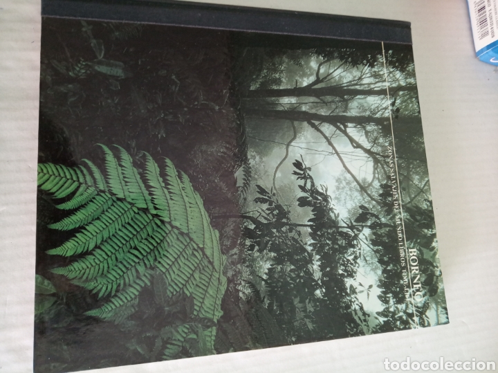 Libros: Borneo - Foto 1