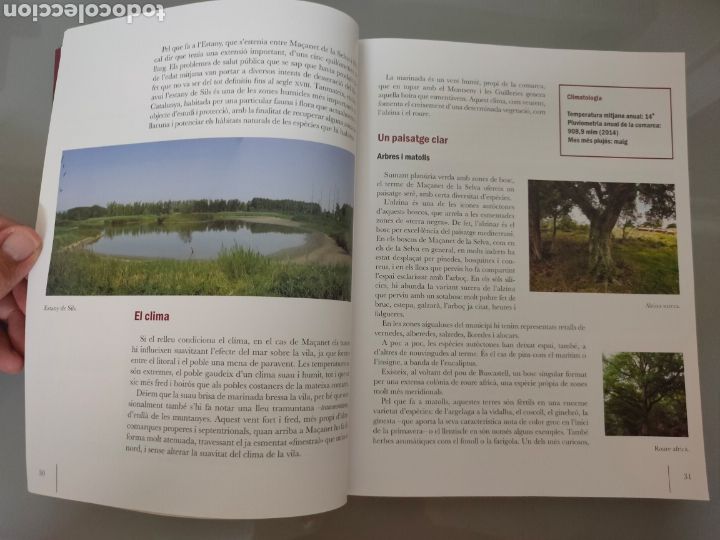 Libros: LIBRO MA&Ccedil;ANET DE LA SELVA (GIRONA) VIST DE PROP GREGAL 2016 - Foto 6