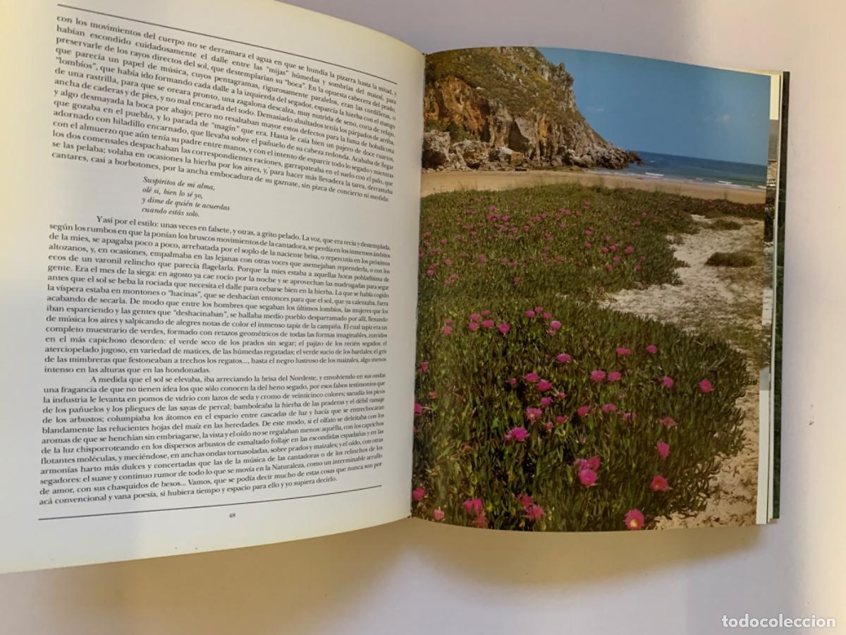 Libros: Cantabria, de Jos&eacute; Mar&iacute;a de Pereda - Foto 5