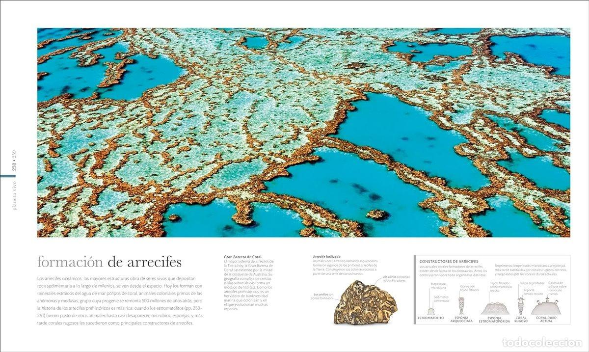 Libros: TIERRA - Foto 2