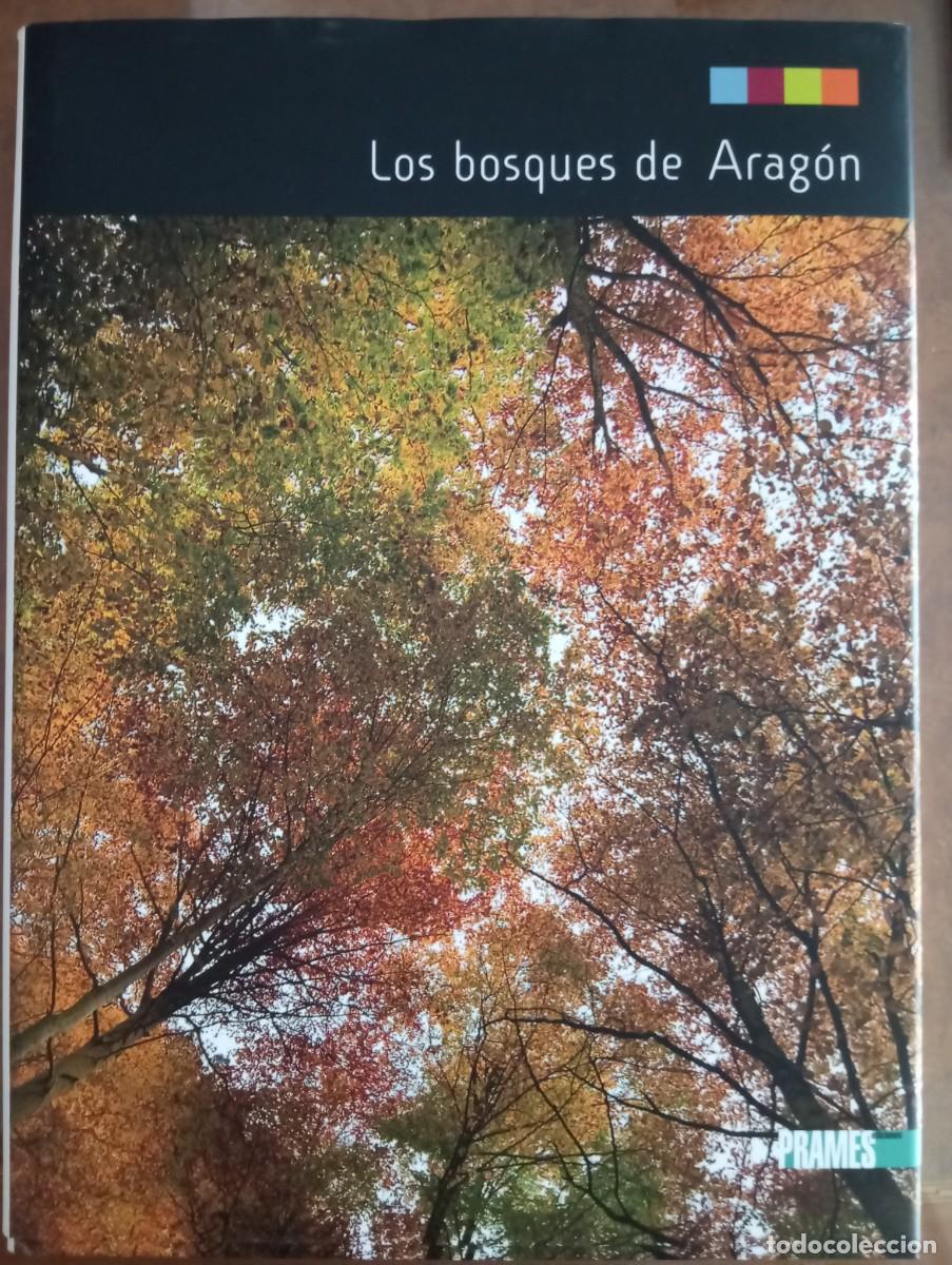 Libros: LOS BOSQUES DE ARAG&Oacute;N, PRAMES, 2009 - Foto 1