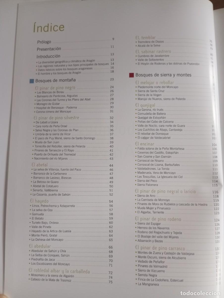 Libros: LOS BOSQUES DE ARAG&Oacute;N, PRAMES, 2009 - Foto 3