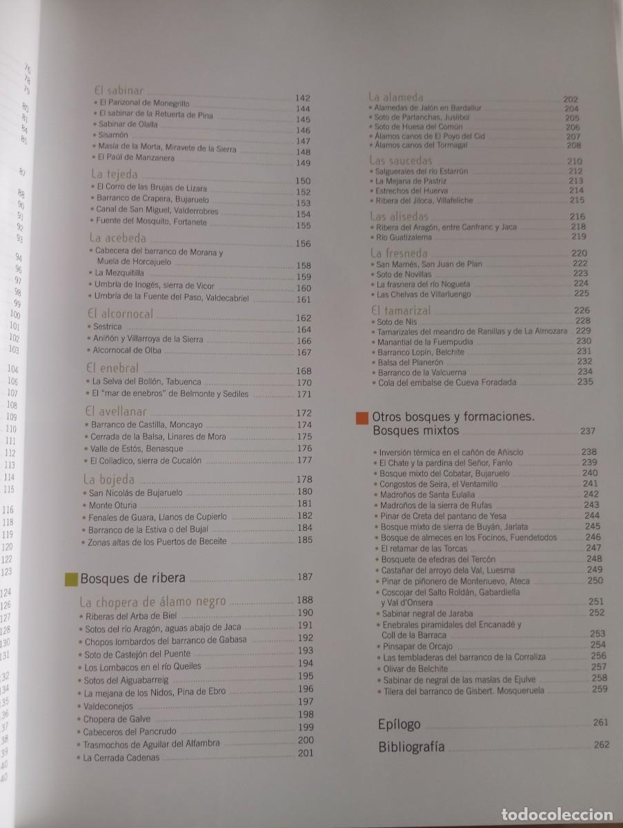 Libros: LOS BOSQUES DE ARAG&Oacute;N, PRAMES, 2009 - Foto 4