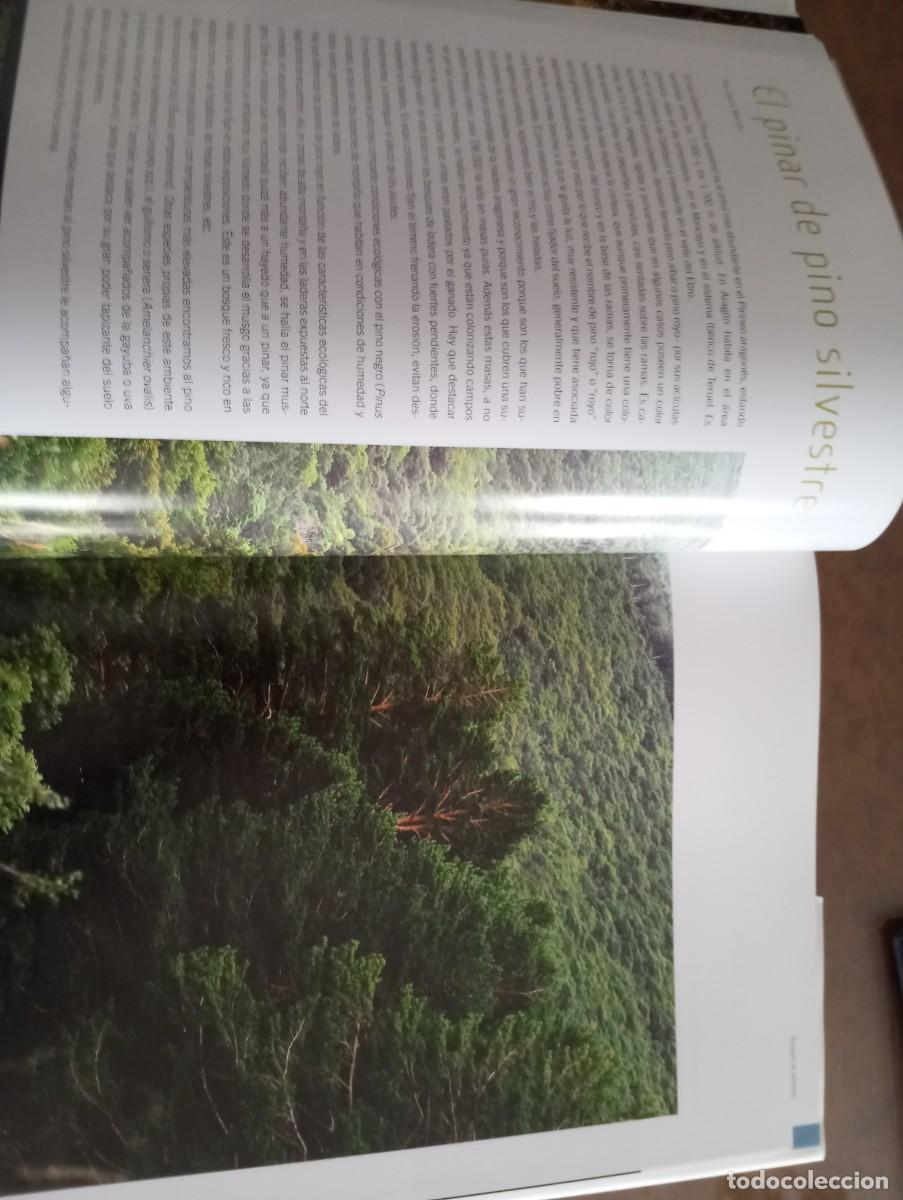 Libros: LOS BOSQUES DE ARAG&Oacute;N, PRAMES, 2009 - Foto 6