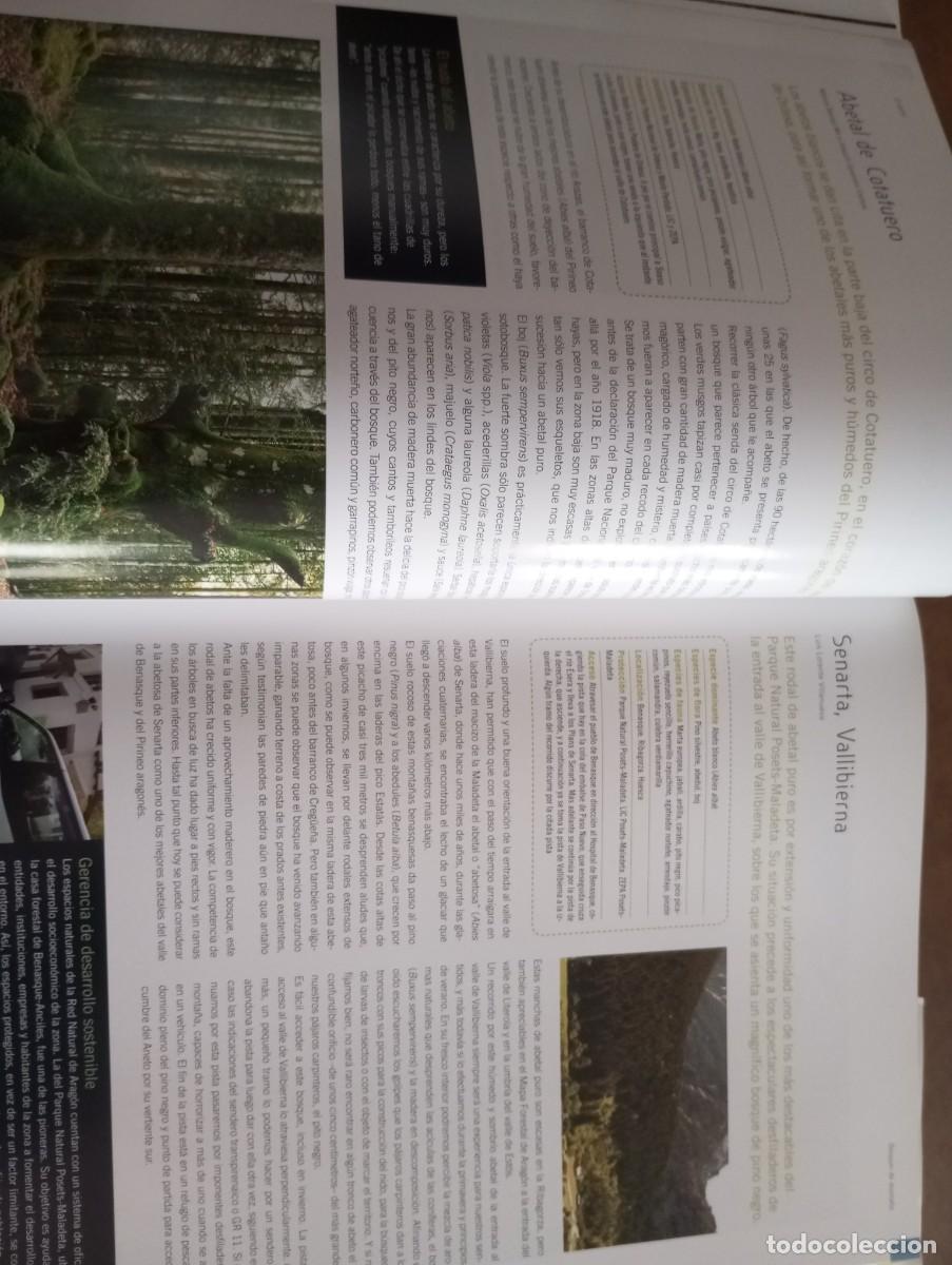 Libros: LOS BOSQUES DE ARAG&Oacute;N, PRAMES, 2009 - Foto 7