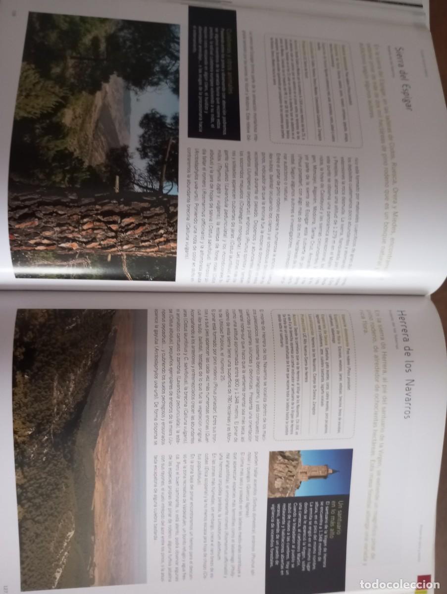 Libros: LOS BOSQUES DE ARAG&Oacute;N, PRAMES, 2009 - Foto 8