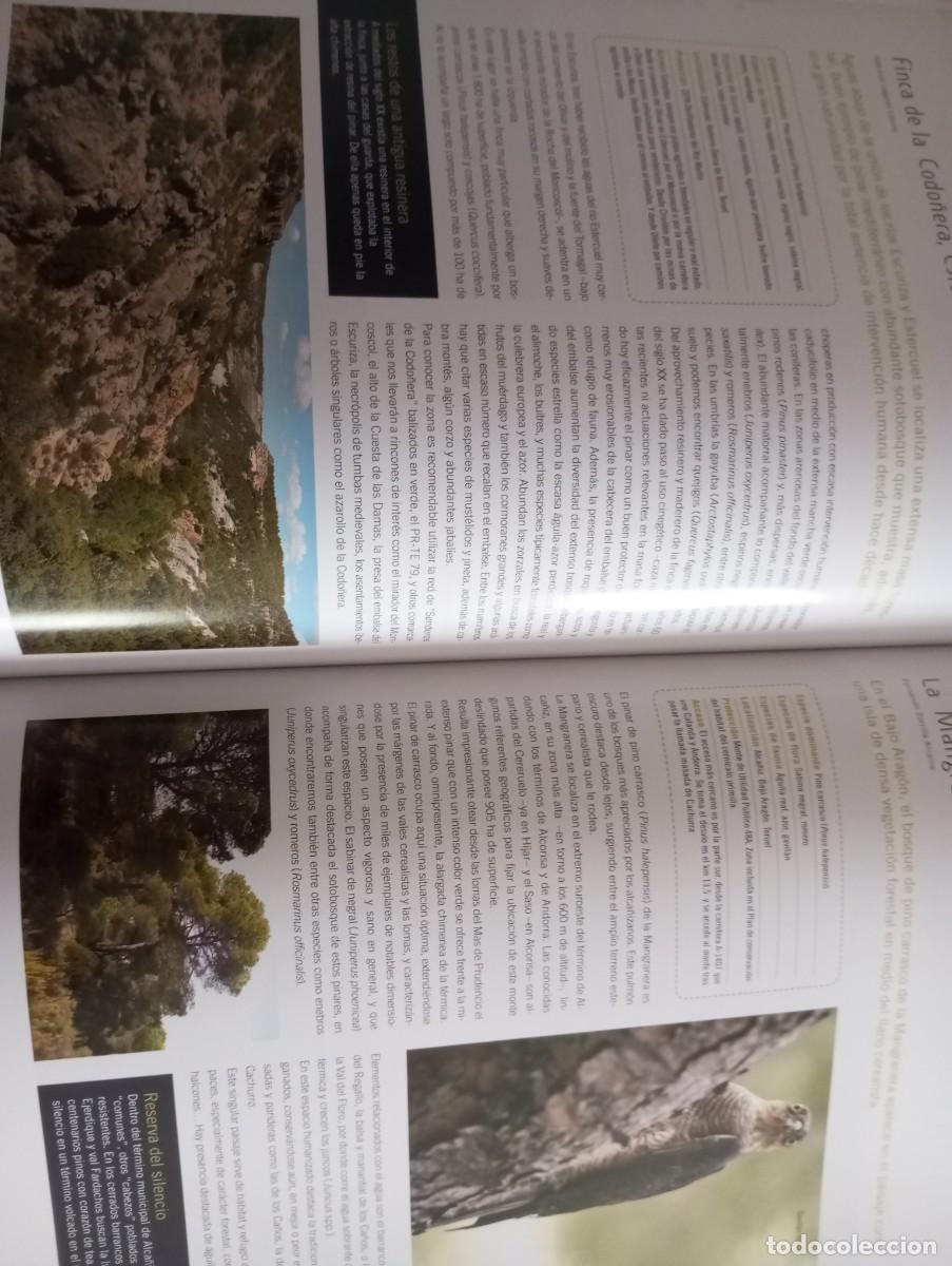 Libros: LOS BOSQUES DE ARAG&Oacute;N, PRAMES, 2009 - Foto 9