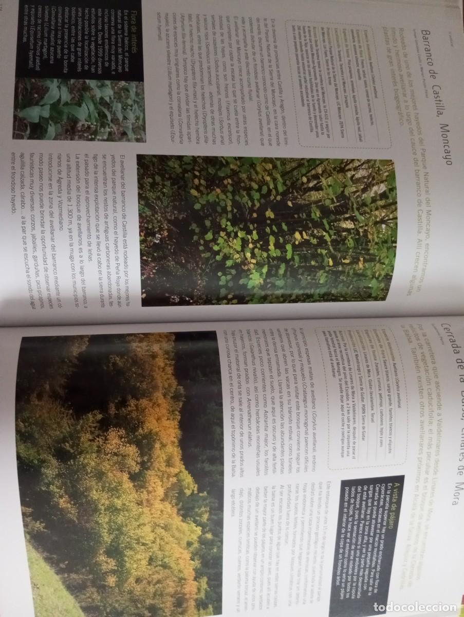 Libros: LOS BOSQUES DE ARAG&Oacute;N, PRAMES, 2009 - Foto 10