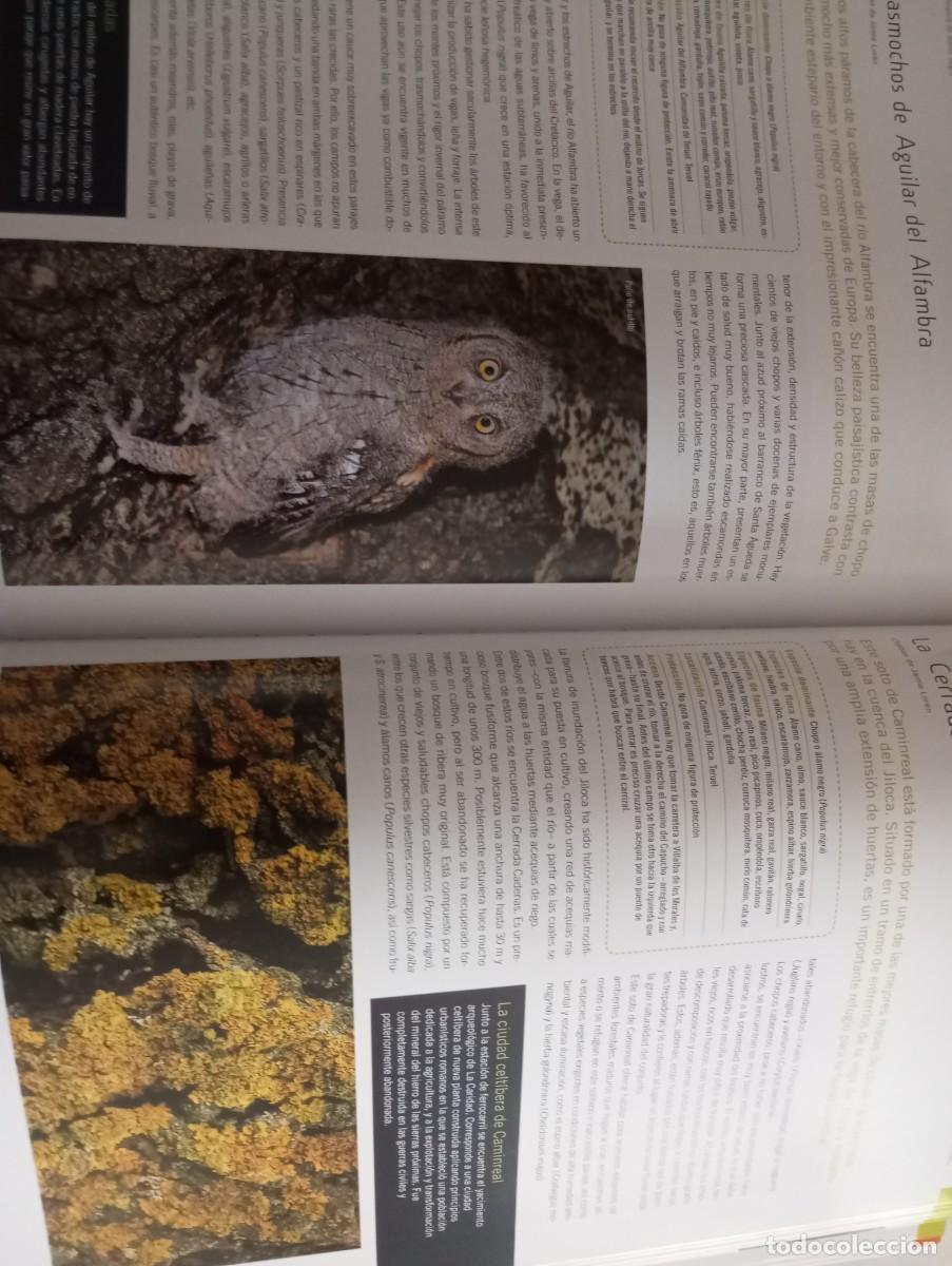 Libros: LOS BOSQUES DE ARAG&Oacute;N, PRAMES, 2009 - Foto 11