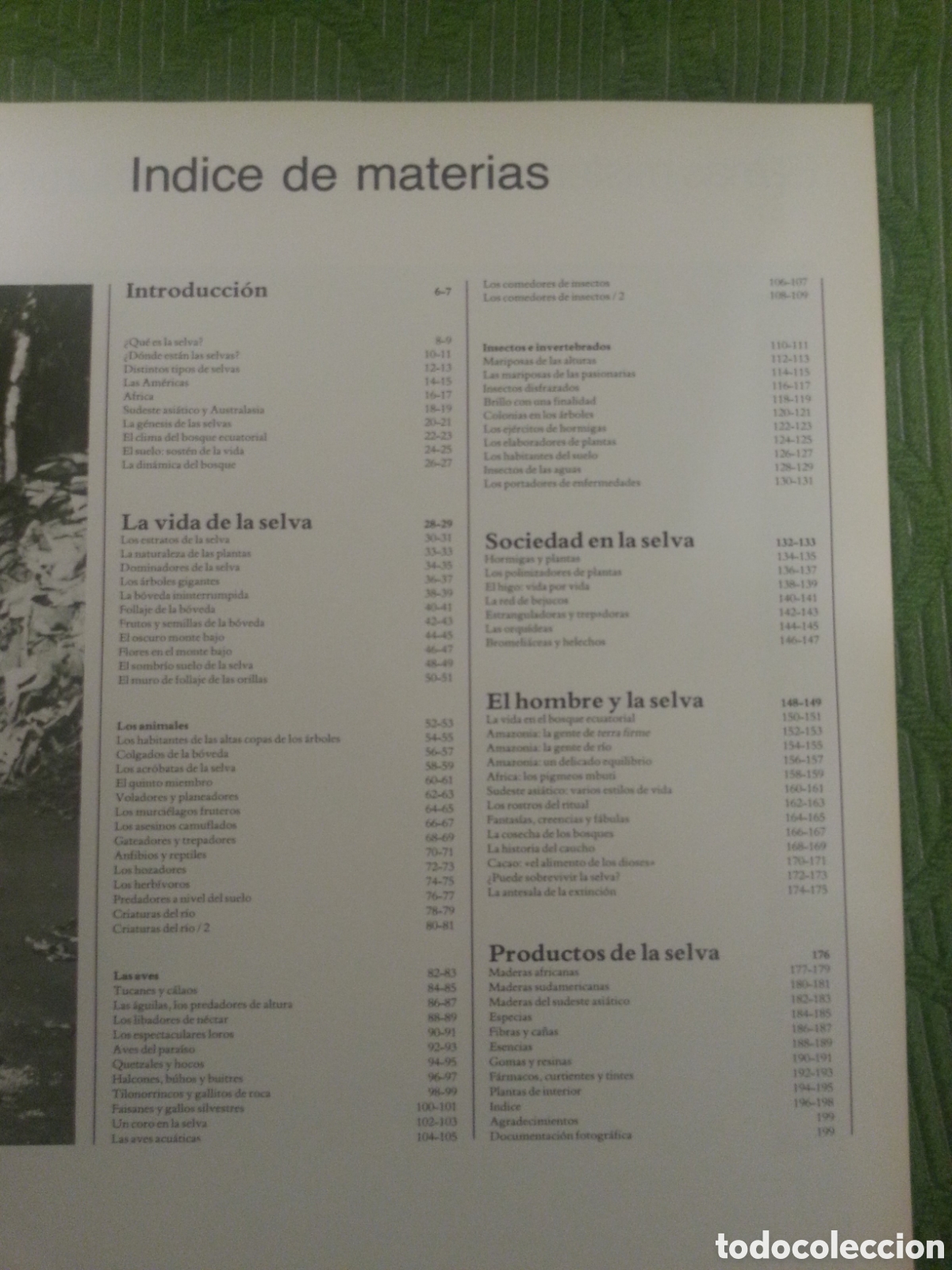 Libros: Libro SELVAS de Edward S. Ayensu - Foto 2