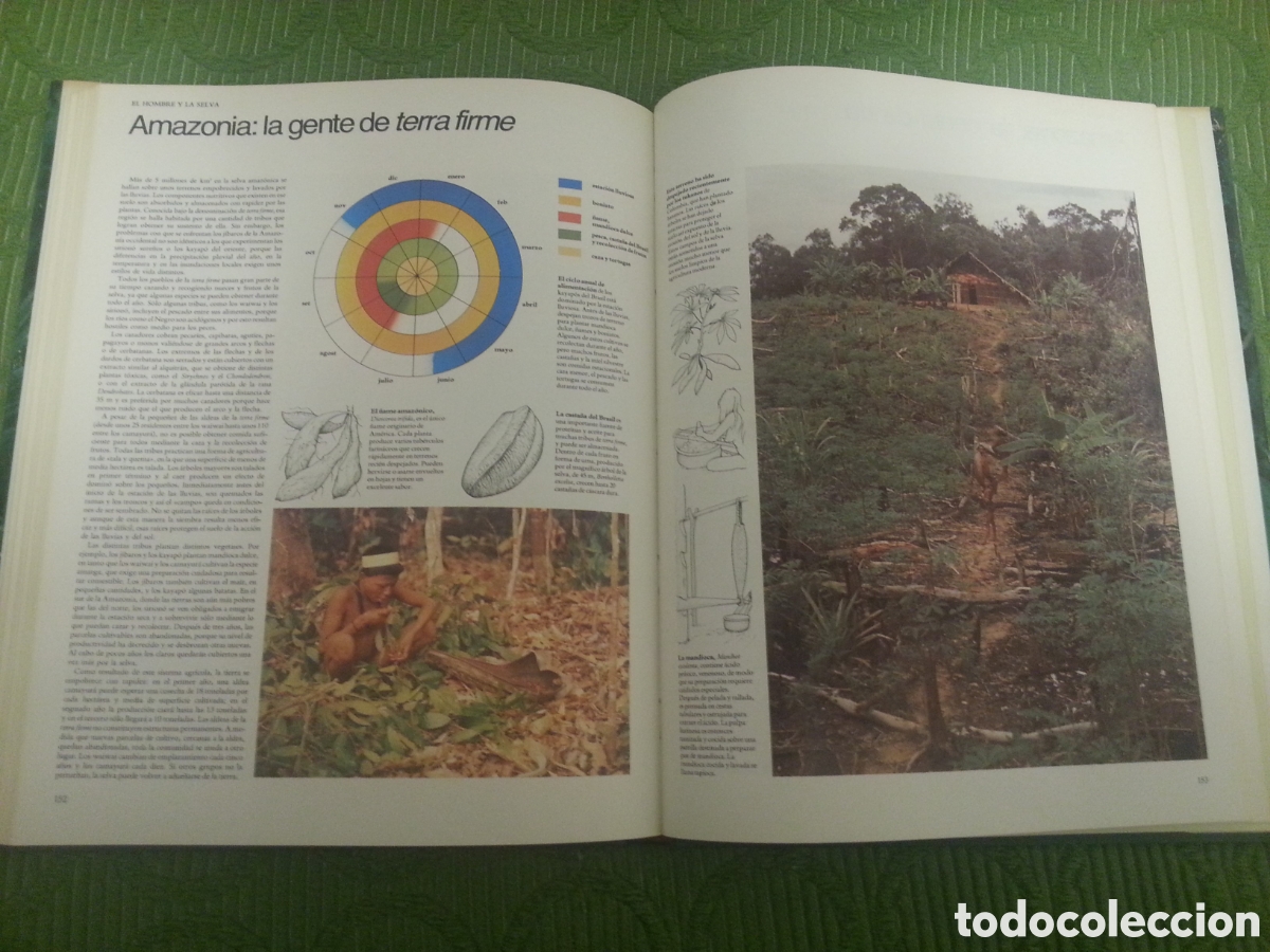 Libros: Libro SELVAS de Edward S. Ayensu - Foto 5