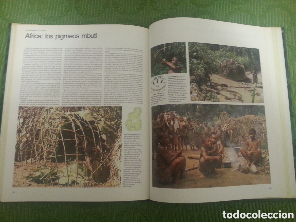 Libros: Libro SELVAS de Edward S. Ayensu - Foto 8