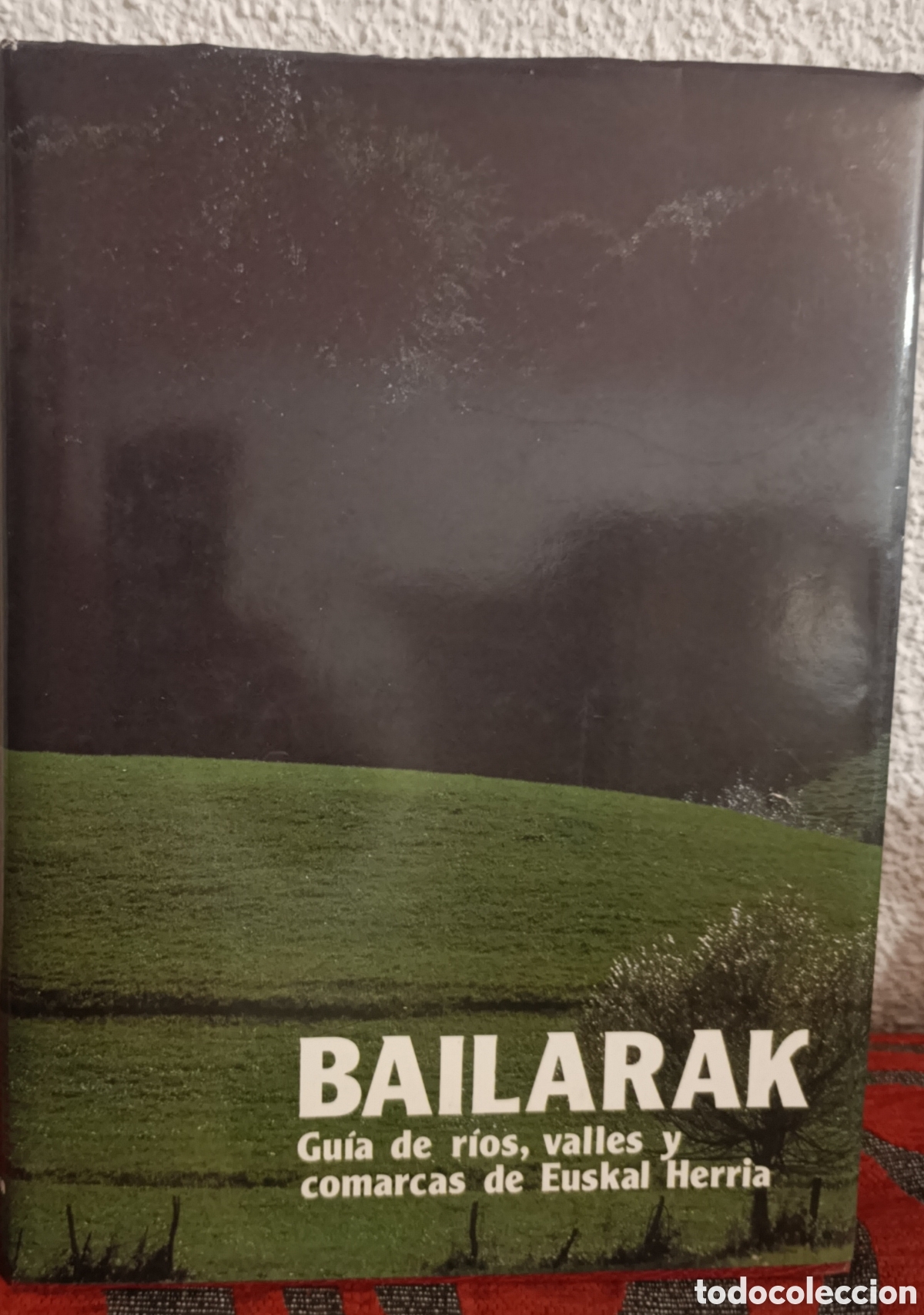 Libros: BAILARAK - Gu&iacute;a de r&iacute;os, valles y comarcas de Euskal Herria (Volumen 4)