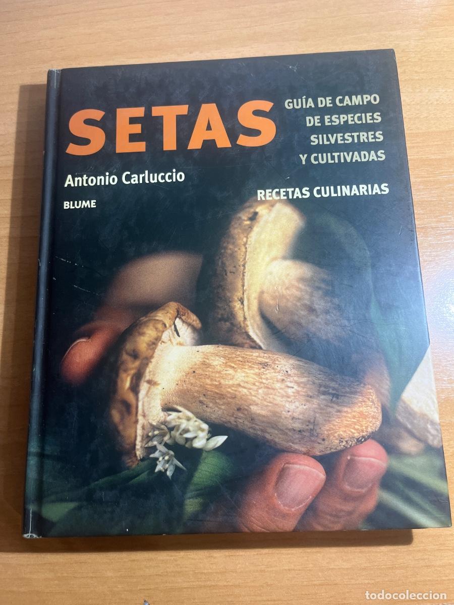 Libros: Libro Setas | Antonio Carluccio | 2003 - Foto 1
