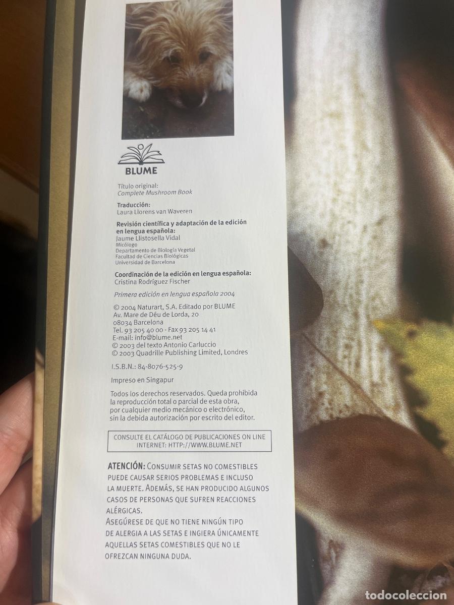 Libros: Libro Setas | Antonio Carluccio | 2003 - Foto 3