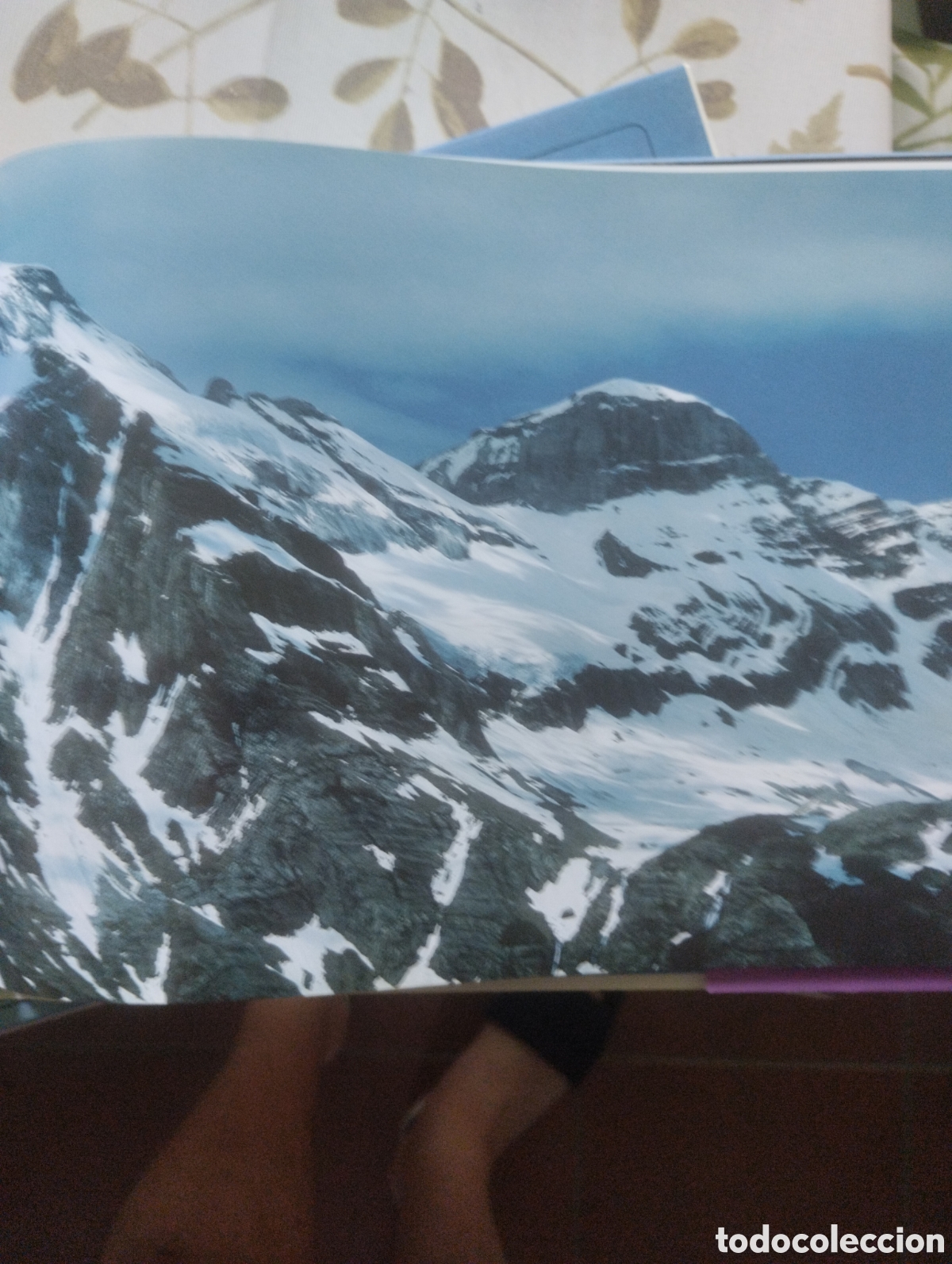Libros: PARQUE NACIONAL DE ORDESA Y MONTE PERDIDO. - Foto 9