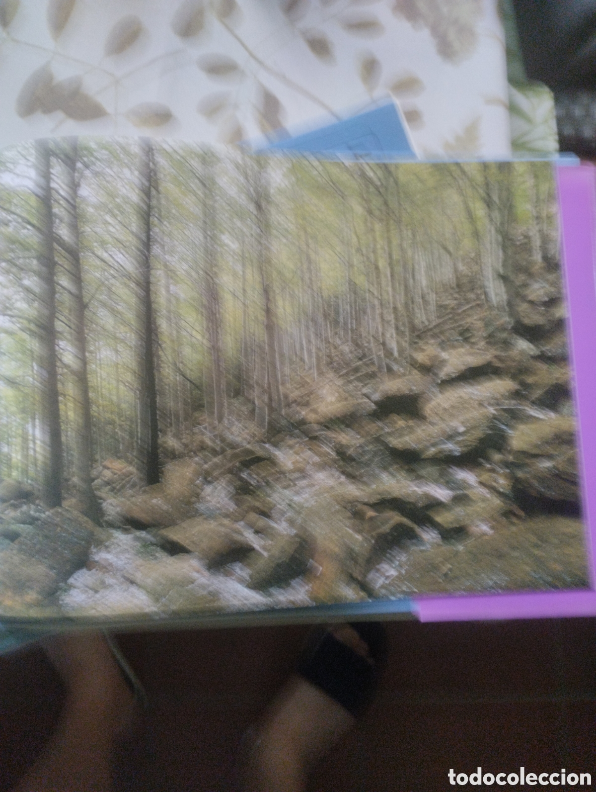 Libros: PARQUE NACIONAL DE ORDESA Y MONTE PERDIDO. - Foto 10