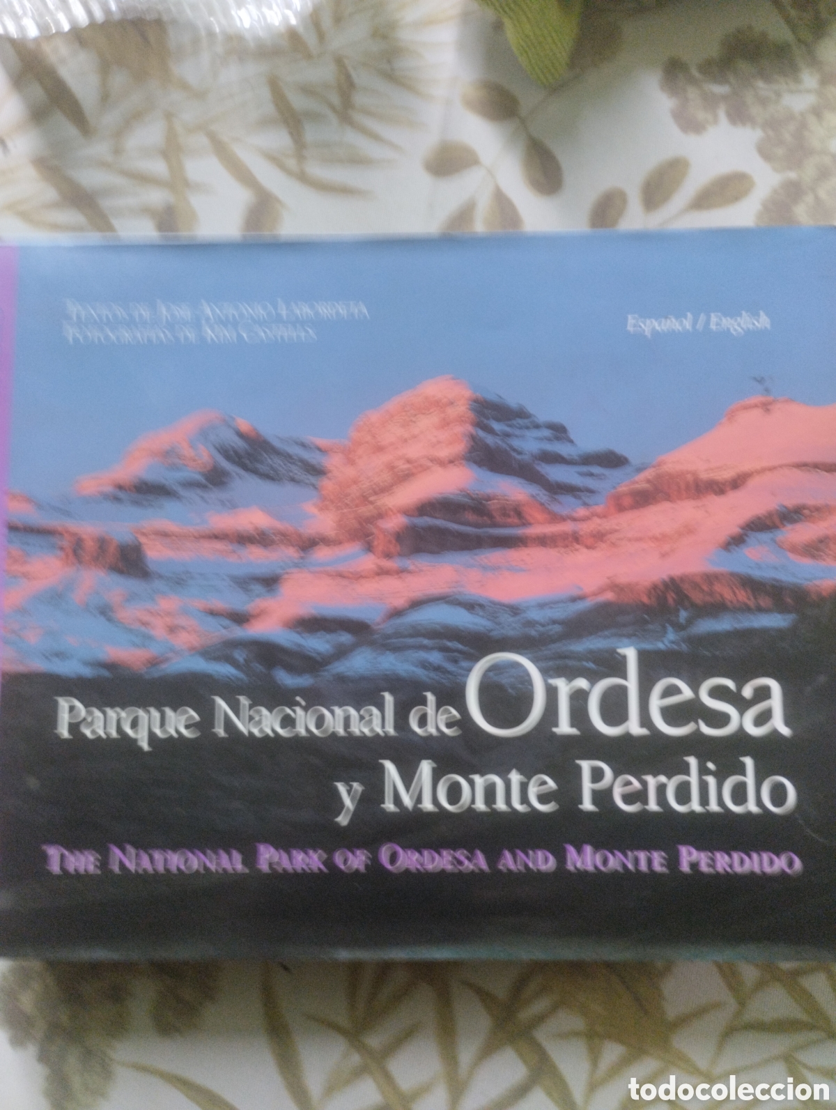 Libros: PARQUE NACIONAL DE ORDESA Y MONTE PERDIDO. - Foto 1