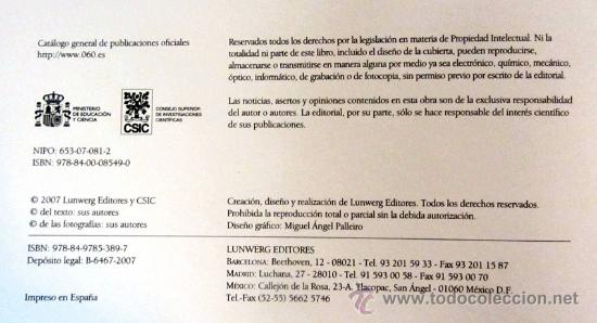 Libros: VIAJES Y VIAJEROS EN LA ESPA&Ntilde;A MEDIEVAL - Foto 8