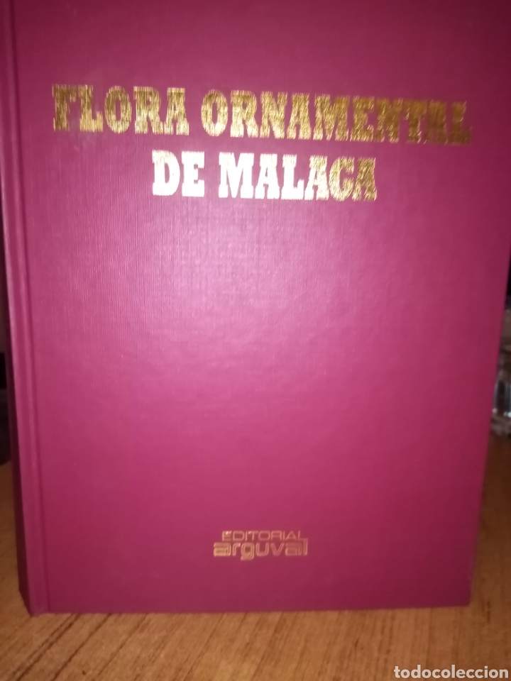 Libros: Flora Malgue&ntilde;a - Foto 1