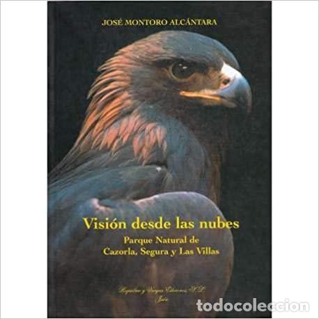 Libros: Visi&oacute;n desde las nubes. Jos&eacute; Montoro Alc&aacute;ntara - Foto 1