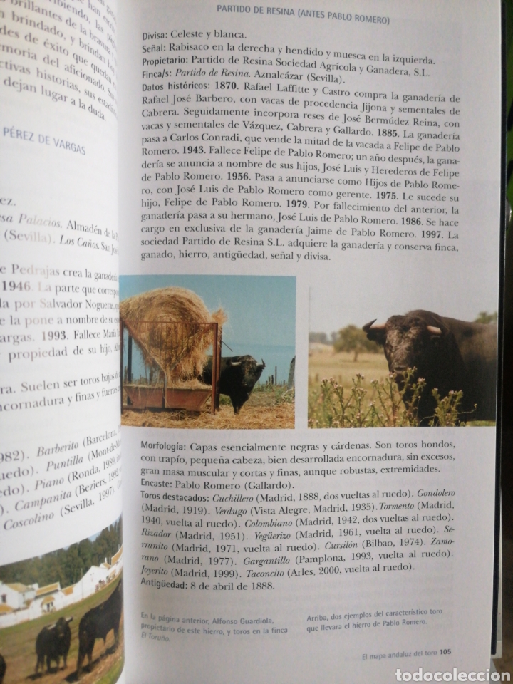 Libros: Las rutas del toro en Andaluc&iacute;a. - Foto 3