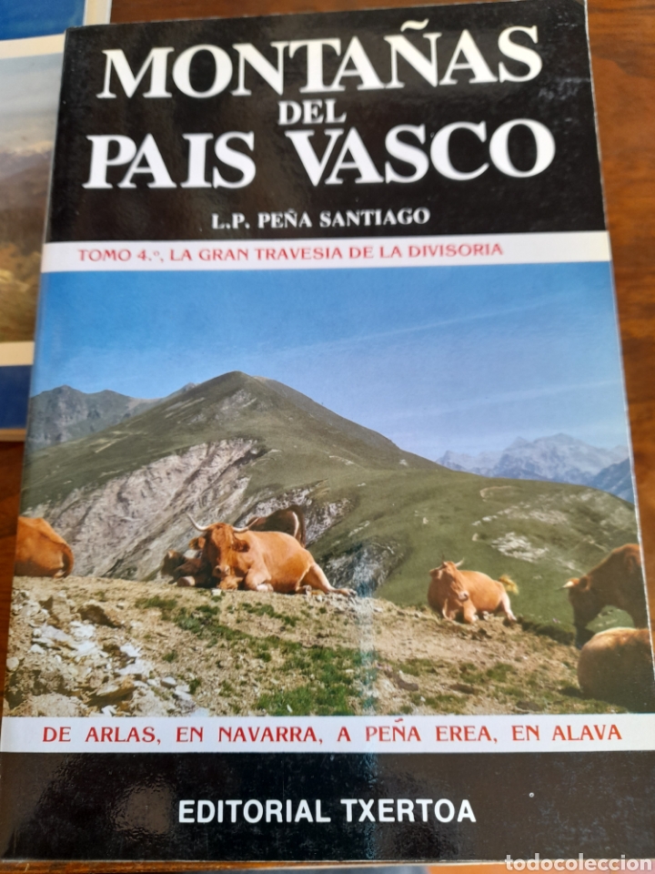Libros: Monta&ntilde;as del Pa&iacute;s Vasco. Lote de 6 libros - Foto 4