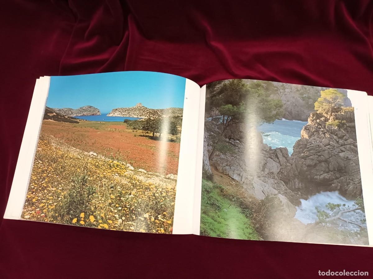 Libros: Las Baleares.LUNWERG.Editores.S.A. - Foto 6