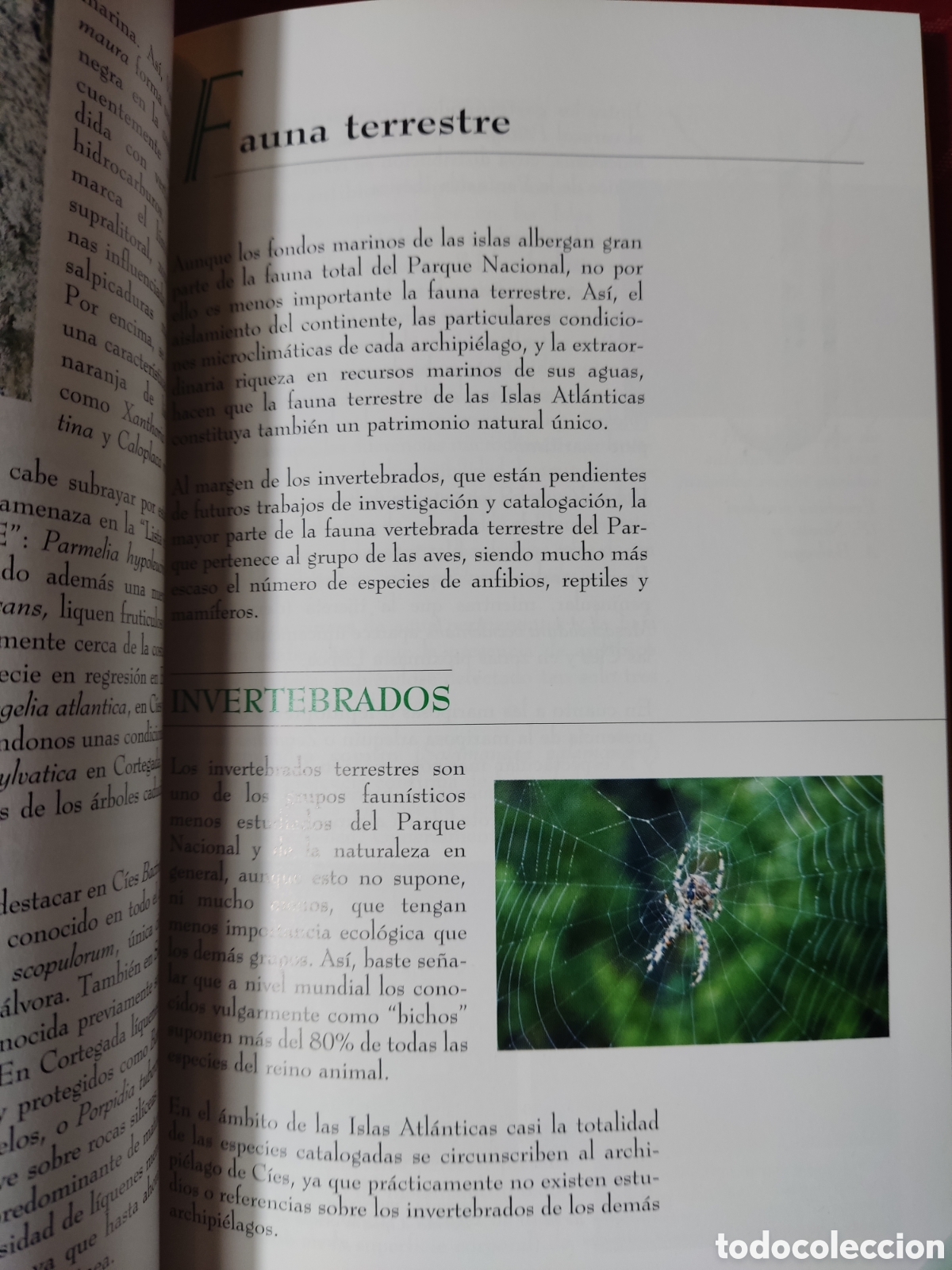 Libros: Parque Nacional mar&iacute;timo terrestre de las islas atl&aacute;nticas de Galicia - Foto 4