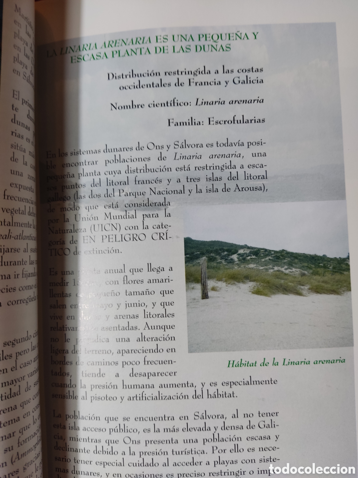 Libros: Parque Nacional mar&iacute;timo terrestre de las islas atl&aacute;nticas de Galicia - Foto 5