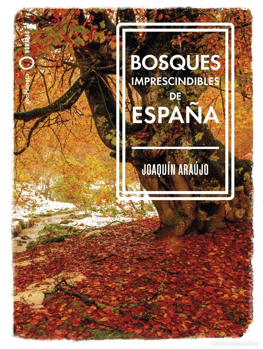 Libros: Bosques imprescindibles de Espa&ntilde;a - Foto 1