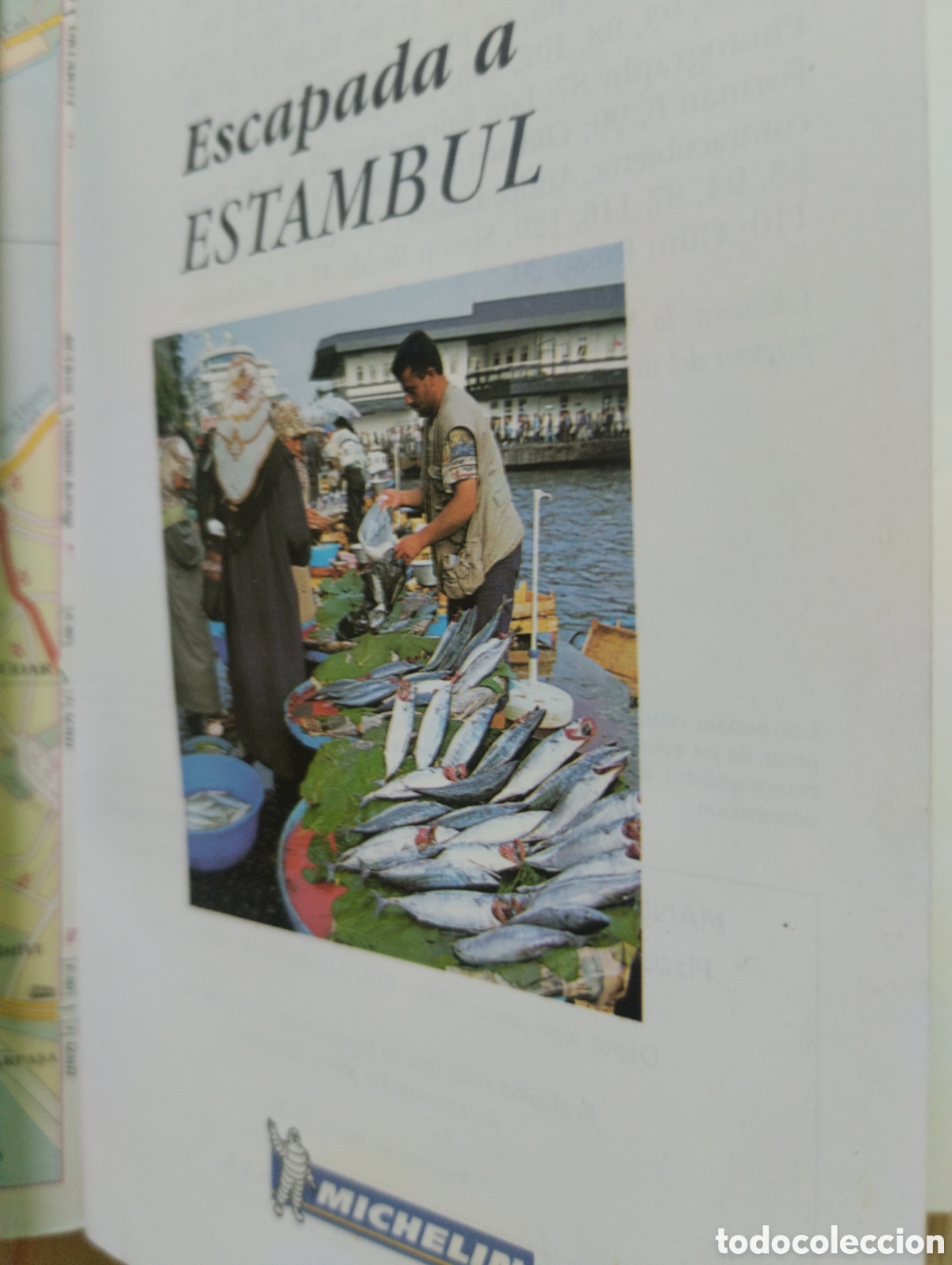 Libros: ESCAPADA A ESTAMBUL,MICHELIN, GUIA DE BOLSILLO. - Foto 9